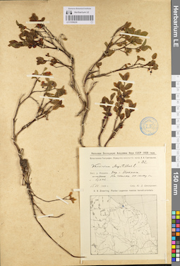 LE 01098226