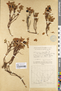 LE 01098227