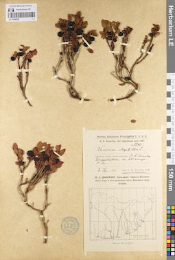 LE 01098228