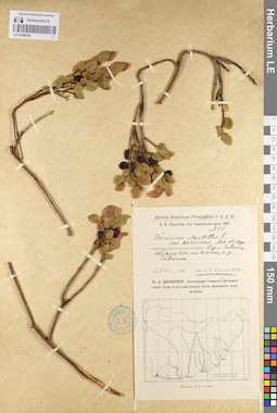 LE 01098229