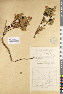 LE 01098230