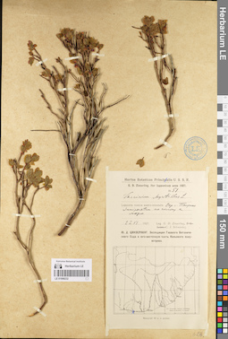LE 01098232