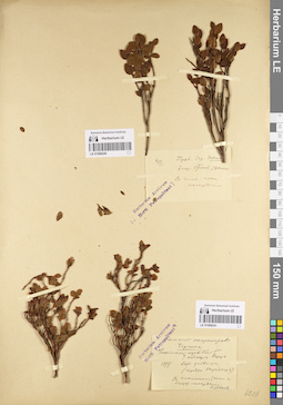 LE 01098241