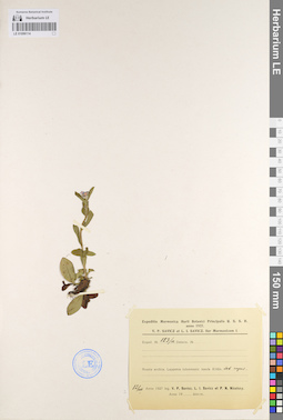 LE 01099114