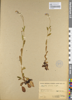 LE 01099120
