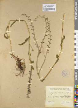 LE 01099122