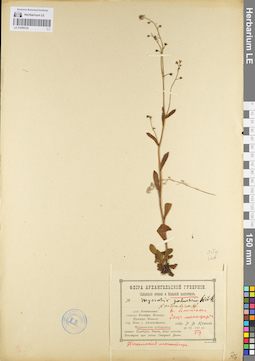 LE 01099130