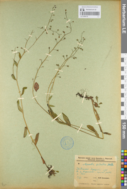 LE 01099135