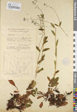 LE 01099146