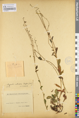 LE 01099152