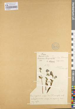 LE 01099155