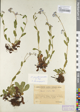 LE 01099157