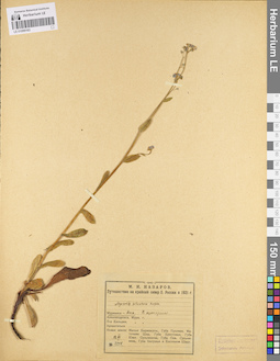 LE 01099163