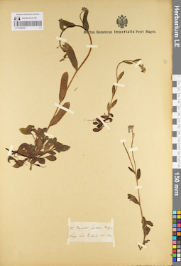 LE 01099166