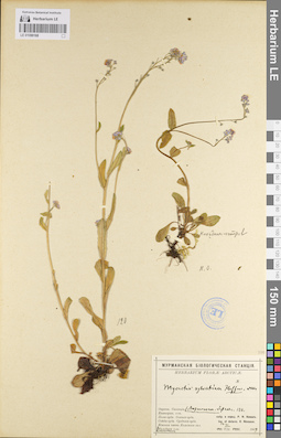 LE 01099168