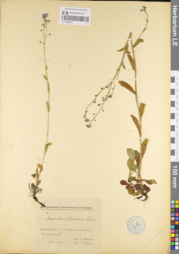 LE 01099171