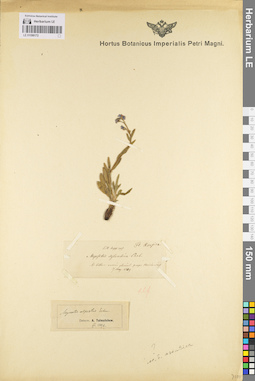 LE 01099172