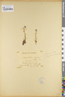LE 01099179