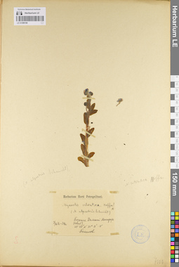 LE 01099180