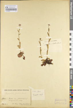 LE 01099183
