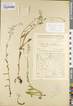 LE 01099187