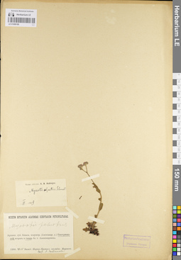 LE 01099189