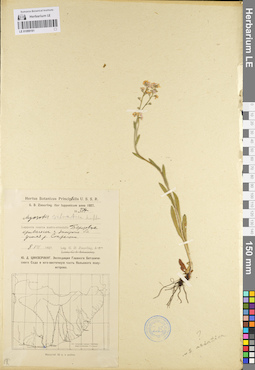 LE 01099191