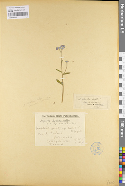 LE 01099192