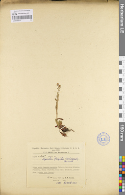 LE 01099214