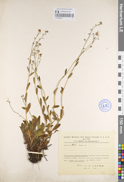LE 01099215