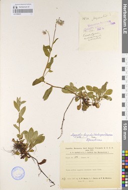 LE 01099221