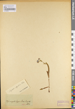 LE 01099236