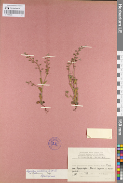 LE 01099249
