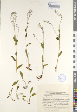 LE 01099282