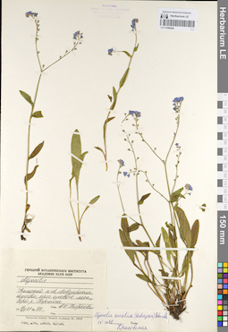 LE 01099284