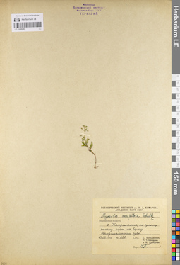 LE 01099291