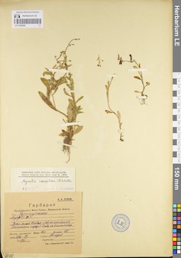 LE 01099299