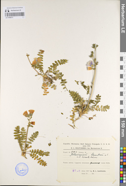 LE 01099313