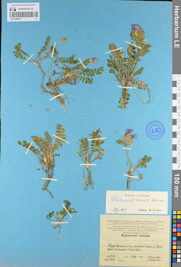 LE 01099315