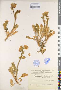LE 01099316