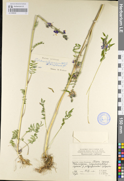 LE 01099329