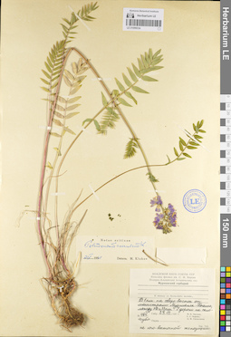 LE 01099334