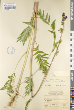 LE 01099346