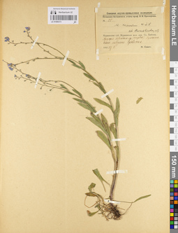 LE 01099373