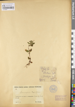LE 01099487