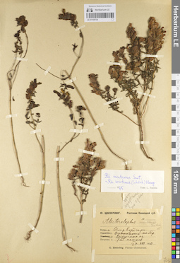LE 01100734