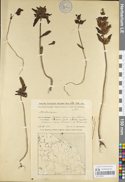 LE 01100742