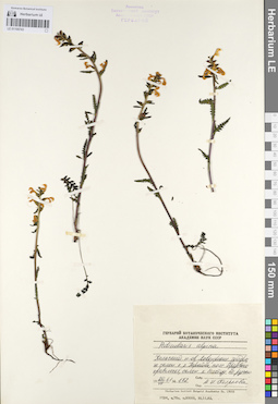LE 01100743