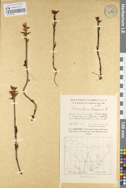 LE 01100766