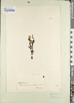 LE 01100780